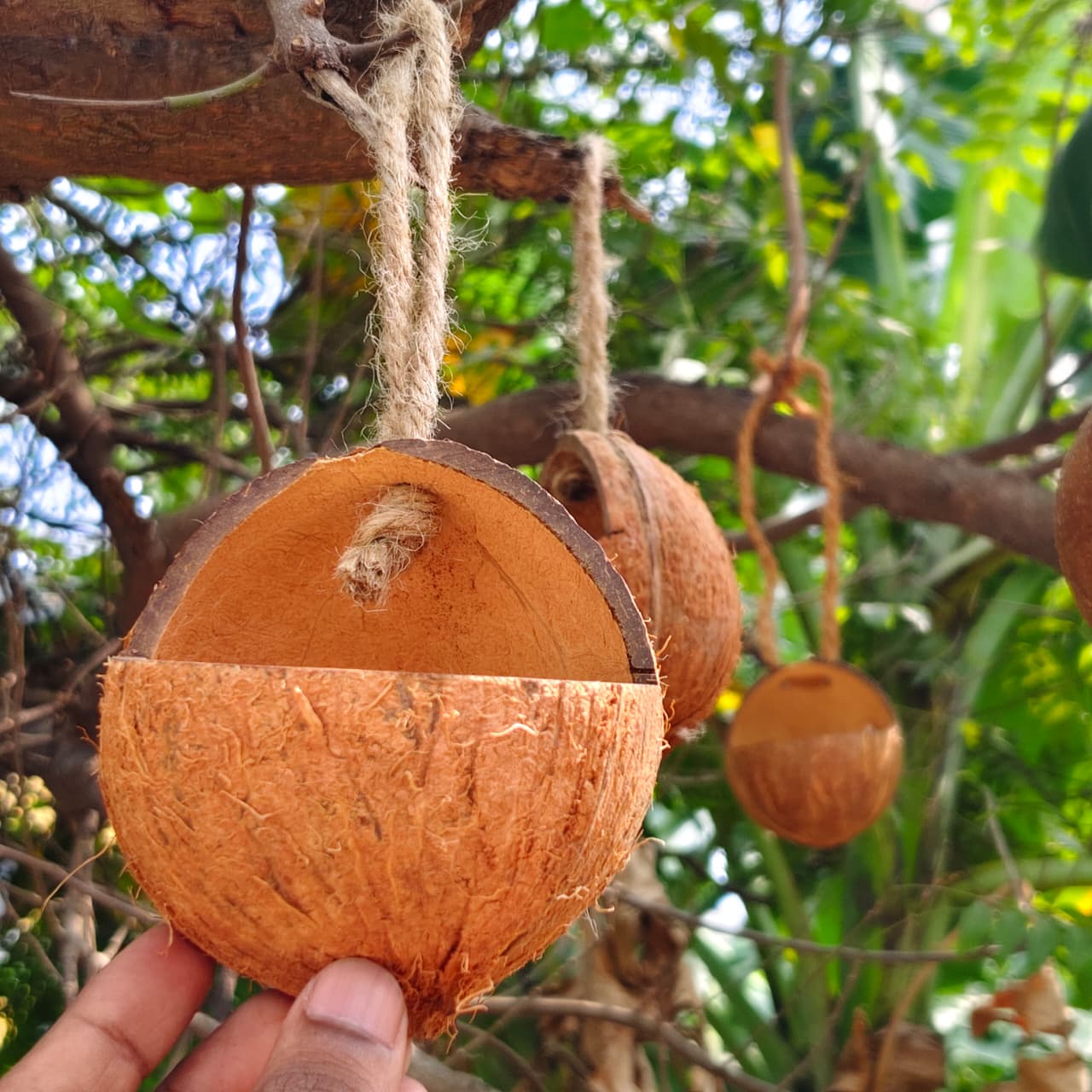 Oval Cut Bird Feeder